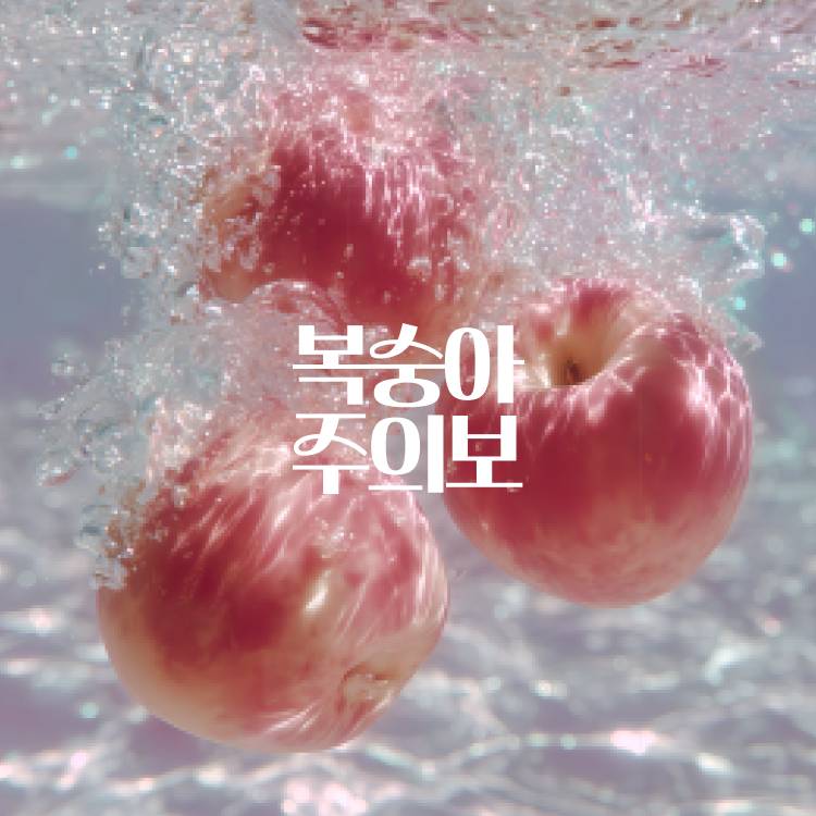 복숭아주의보 팝업