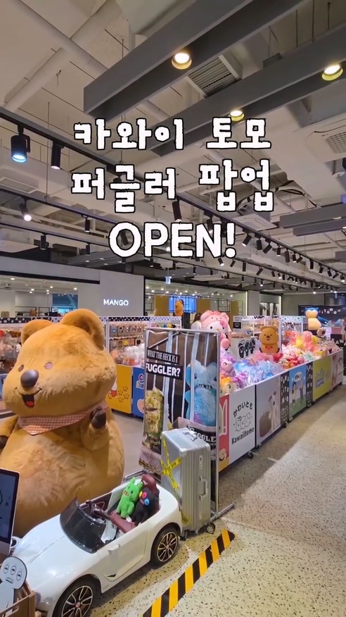 카와이토모 퍼글러 팝업스토어