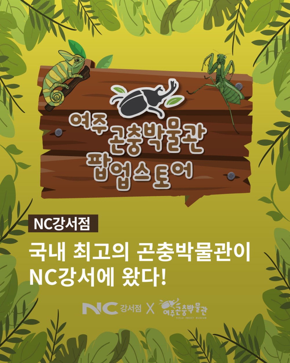 여주곤충박물관 팝업스토어