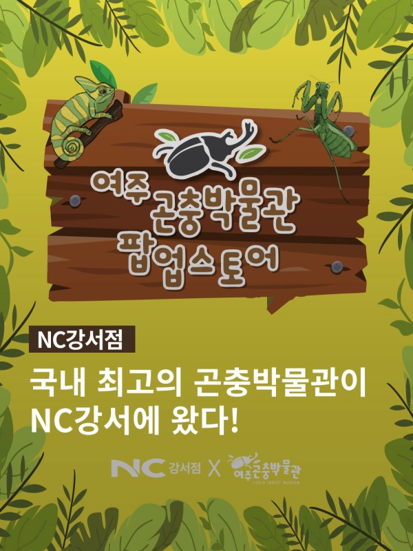 여주곤충박물관 팝업스토어