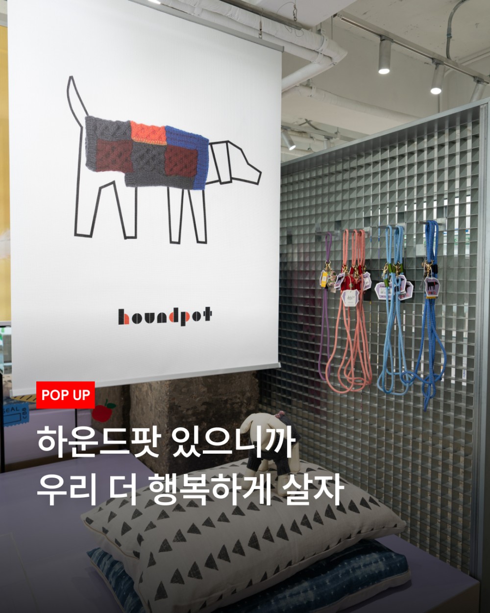 하운드팟 팝업