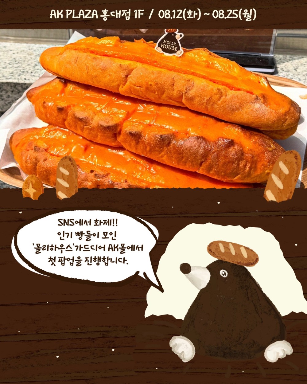 몰리 하우스 팝업