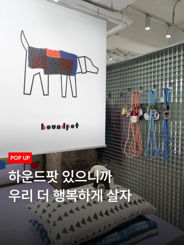하운드팟 팝업