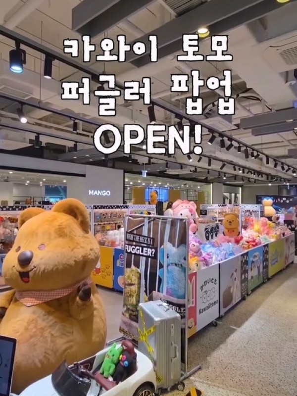 카와이토모 퍼글러 팝업스토어